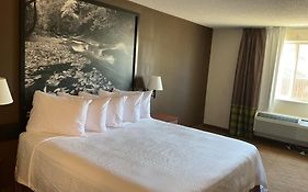 Motel Super 8 By Wyndham Airport  3*